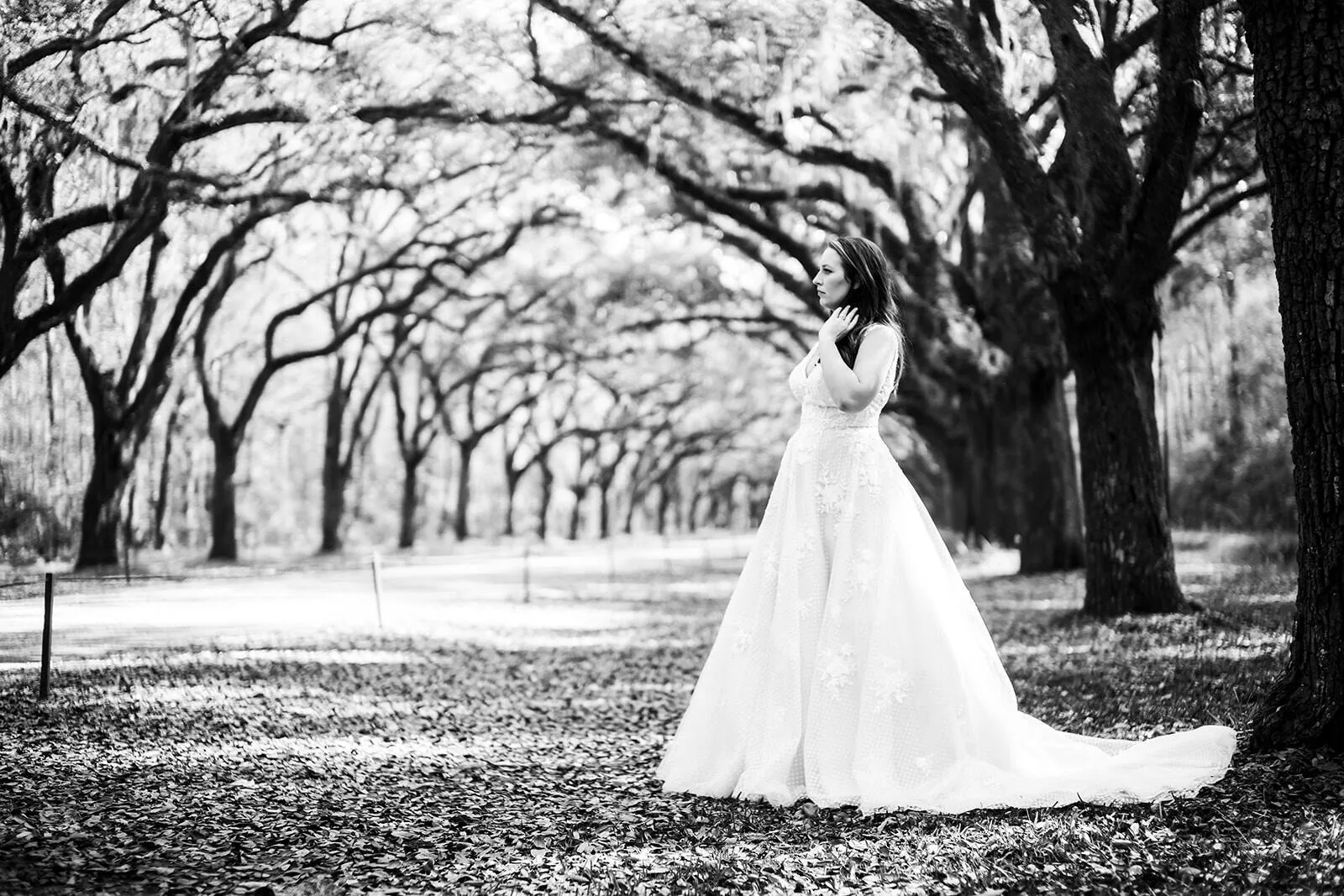 Black and white bridal portrait beneath oak trees